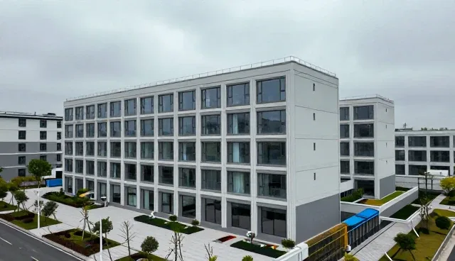 技术支持服务中为本地应用的适用情况与限制